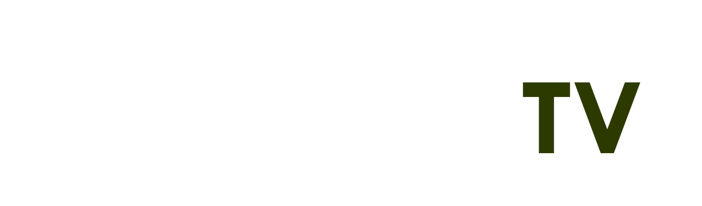 shop cầu lông gần đây